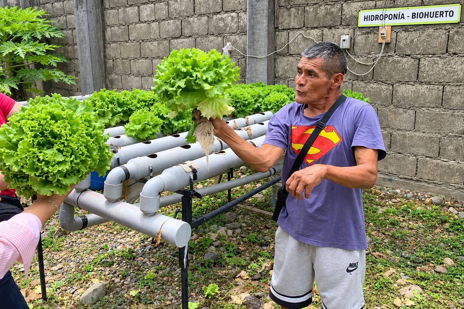 Hidroponía